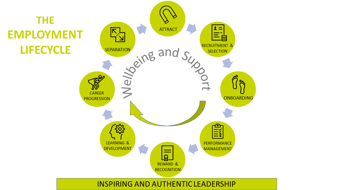 The Employment lifecycle